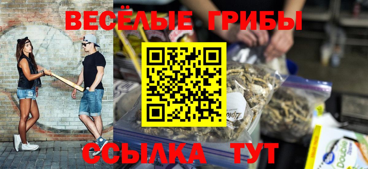 Алатырь  как найти закладки  Псилоцибиновые грибы Magic Shrooms  Вход с VPN  Галлюциногенные грибы Psilocybe 
