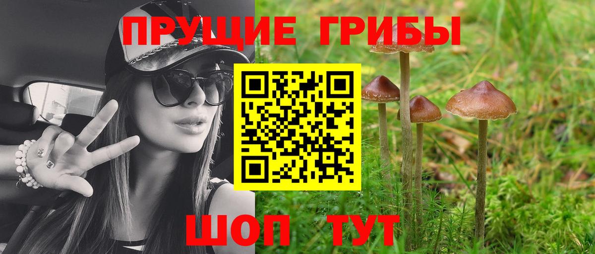 Галлюциногенные грибы GOLDEN TEACHER Алатырь